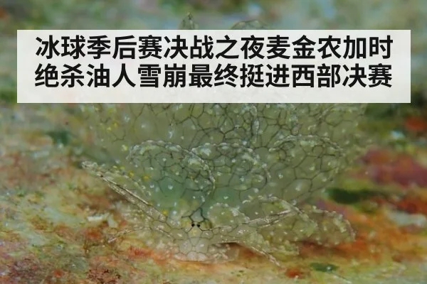冰球季后赛决战之夜麦金农加时绝杀油人雪崩最终挺进西部决赛